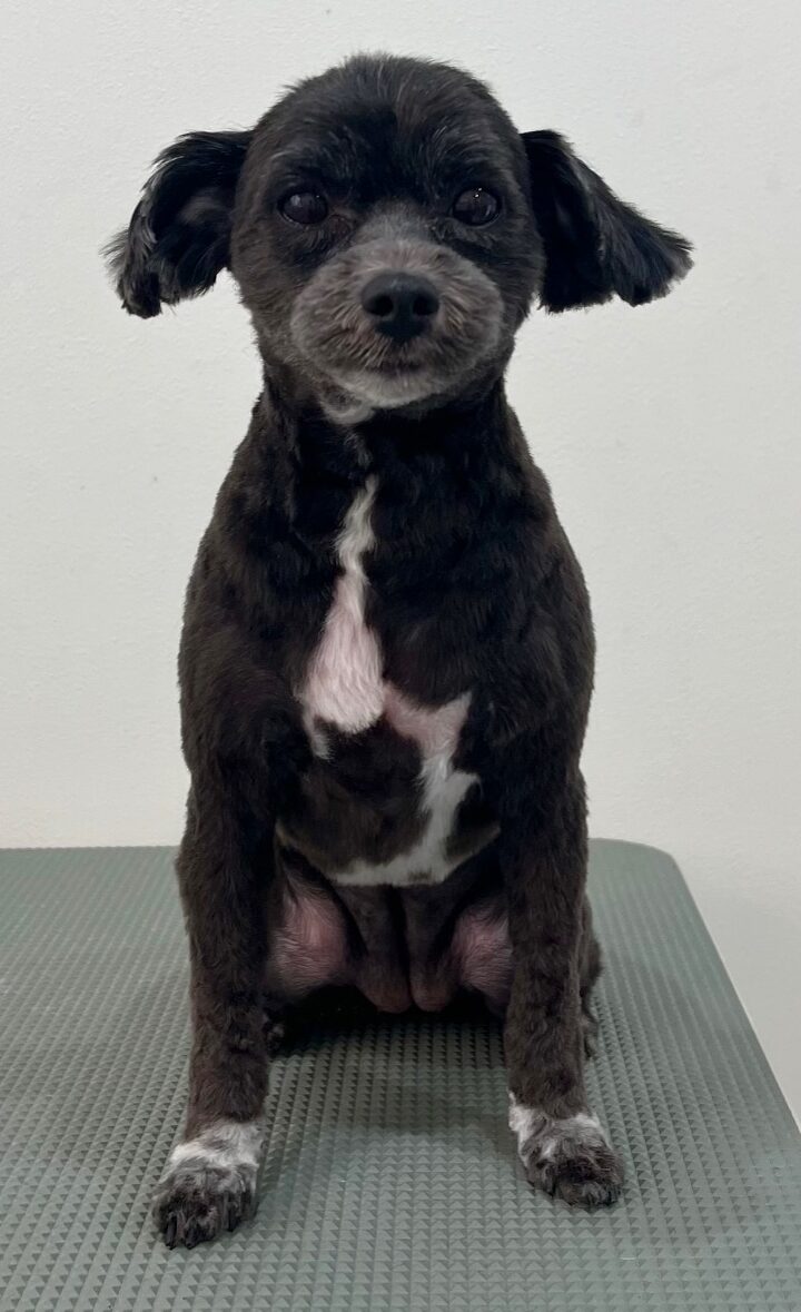 2026-1-14%e6%a8%8b%e5%8f%a3%e6%a2%85