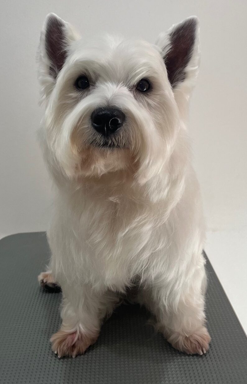 2026-1-14%e8%b6%b3%e7%ab%8b%e3%83%a2%e3%82%a2