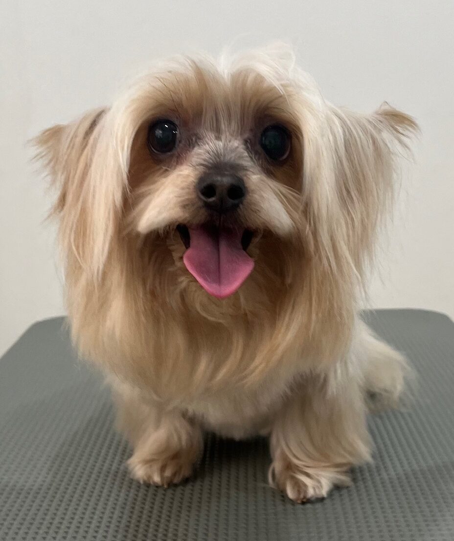 2026-1-16%e8%8d%92%e4%ba%95%e3%83%9f%e3%83%9f