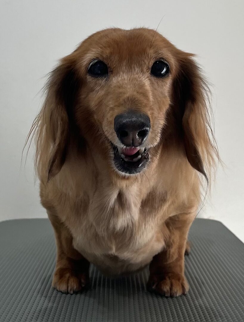 2026-1-18%e5%a4%a7%e5%a0%80%e7%88%bd%e5%ad%90