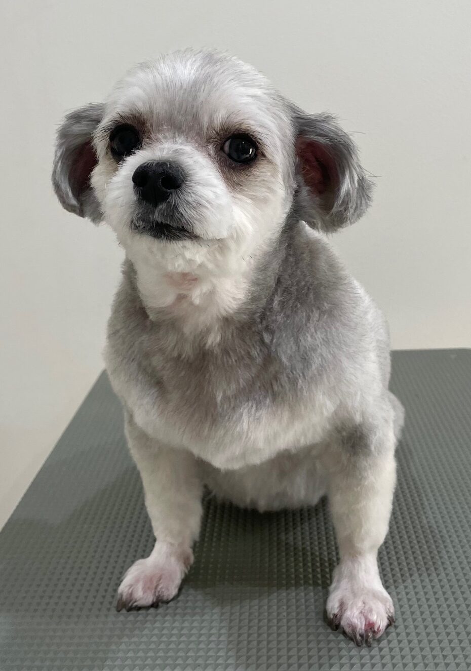 2026-1-18%e6%9c%ac%e7%94%b0%e9%bb%92%e4%b8%b8