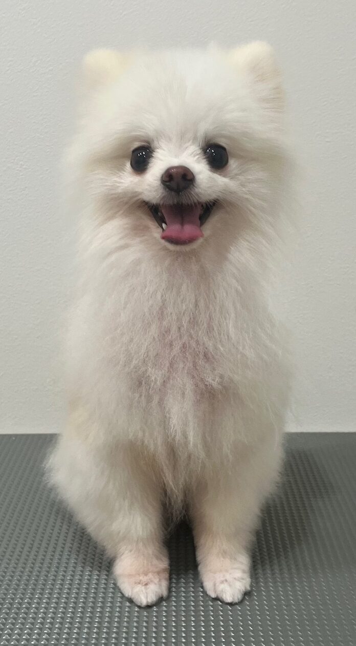 2026-1-18%e6%a9%8b%e6%9c%ac%e7%be%bd%e7%a9%ba