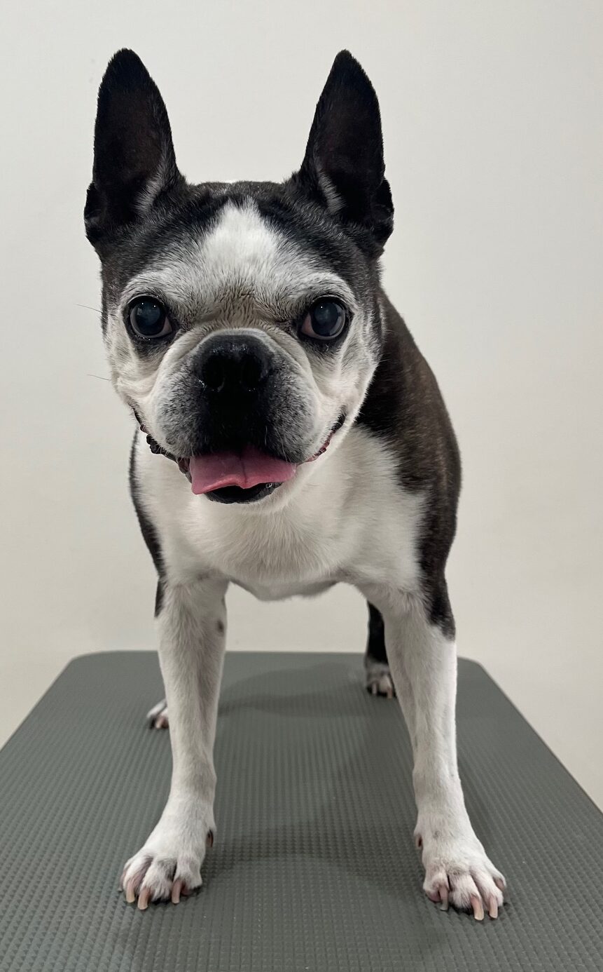 2026-1-18%e8%b1%8a%e5%b7%bb%e3%83%ab%e3%83%bc%e3%82%af