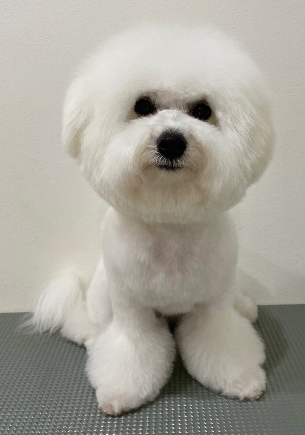 2026-1-19%e4%ba%95%e4%b8%8a%e3%81%86%e3%82%8b%e3%82%8b