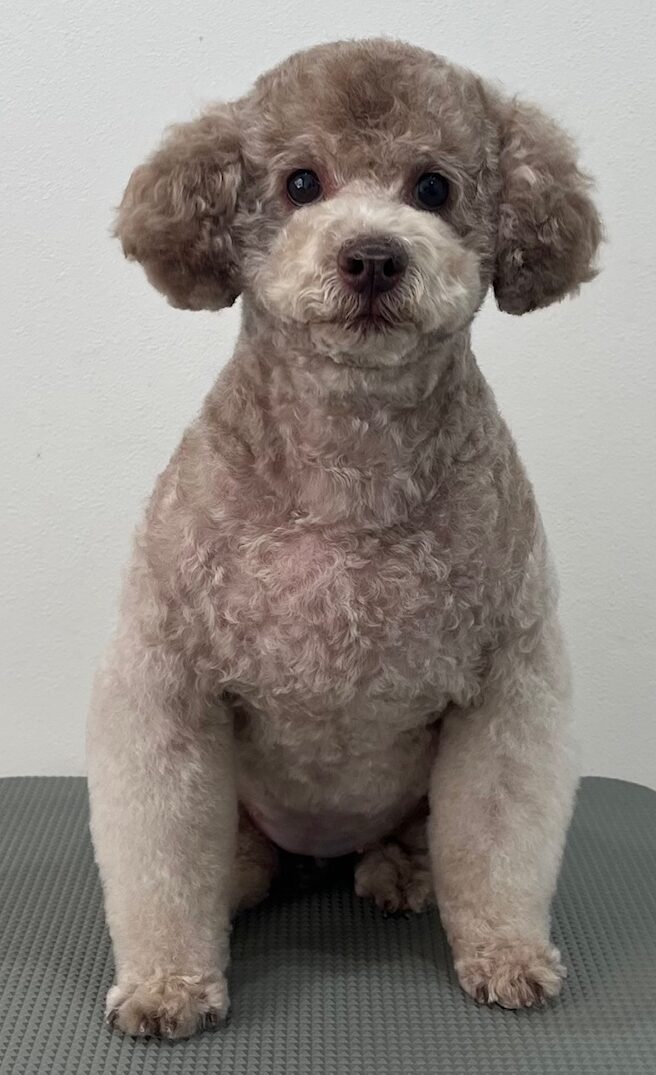 2026-1-19%e5%b2%a9%e5%b4%8e%e3%82%ab%e3%83%b3%e3%83%8a