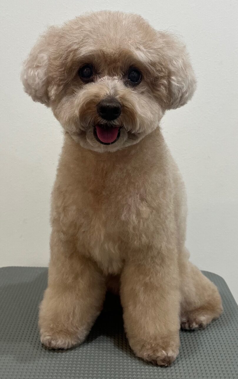 2026-1-19%e6%a8%aa%e5%8e%9f%e3%83%97%e3%83%aa%e3%83%b3