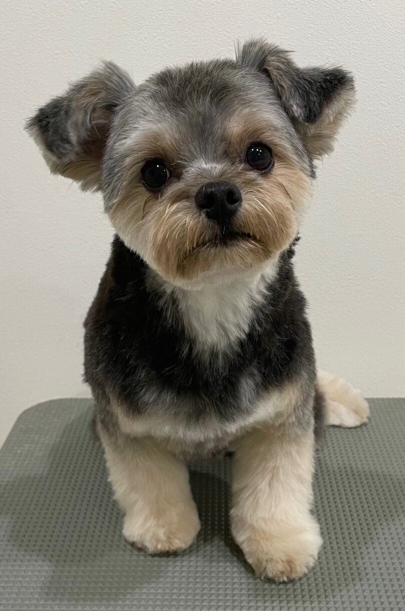 2026-1-20%e4%b8%ad%e9%87%8e%e3%83%a1%e3%82%b0