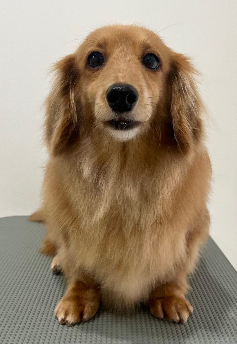 2026-1-20%e5%a4%a7%e6%b4%a5%e3%83%9a%e3%83%ad