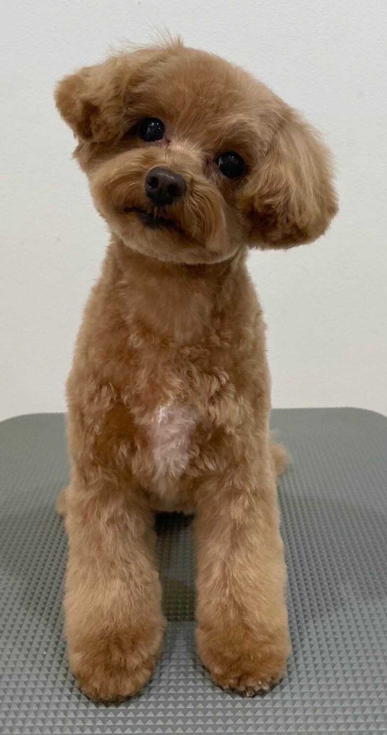 2026-1-20%e5%a4%aa%e7%94%b0%e9%9b%aa