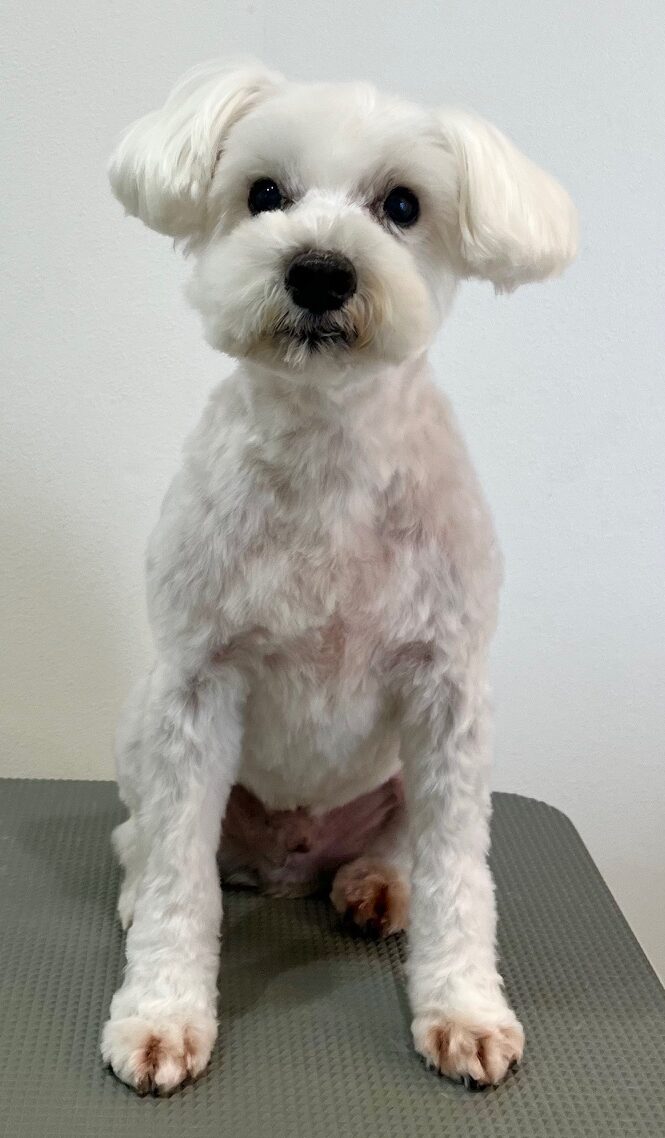 2026-1-20%e9%87%8e%e5%8e%9f%e3%83%86%e3%82%aa