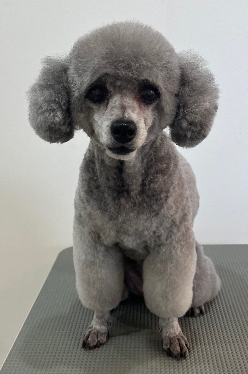 2026-1-21%e5%90%8d%e5%8f%96%e3%82%bd%e3%83%95%e3%82%a3%e3%82%a2