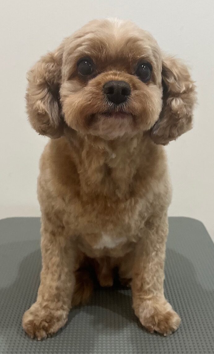 2026-1-21%e5%b0%8f%e7%8e%89%e3%83%9e%e3%83%ad%e3%83%b3