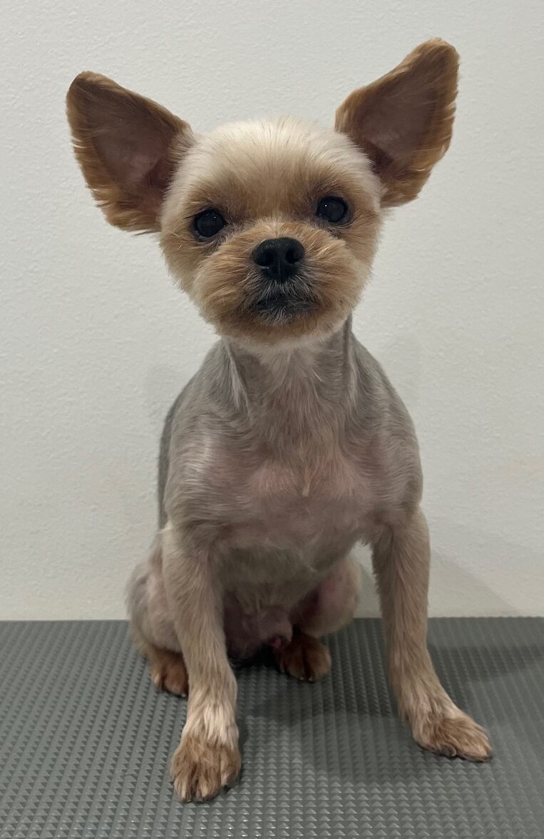 2026-1-21%e8%bf%91%e8%97%a4%e6%96%b0%e5%85%ab