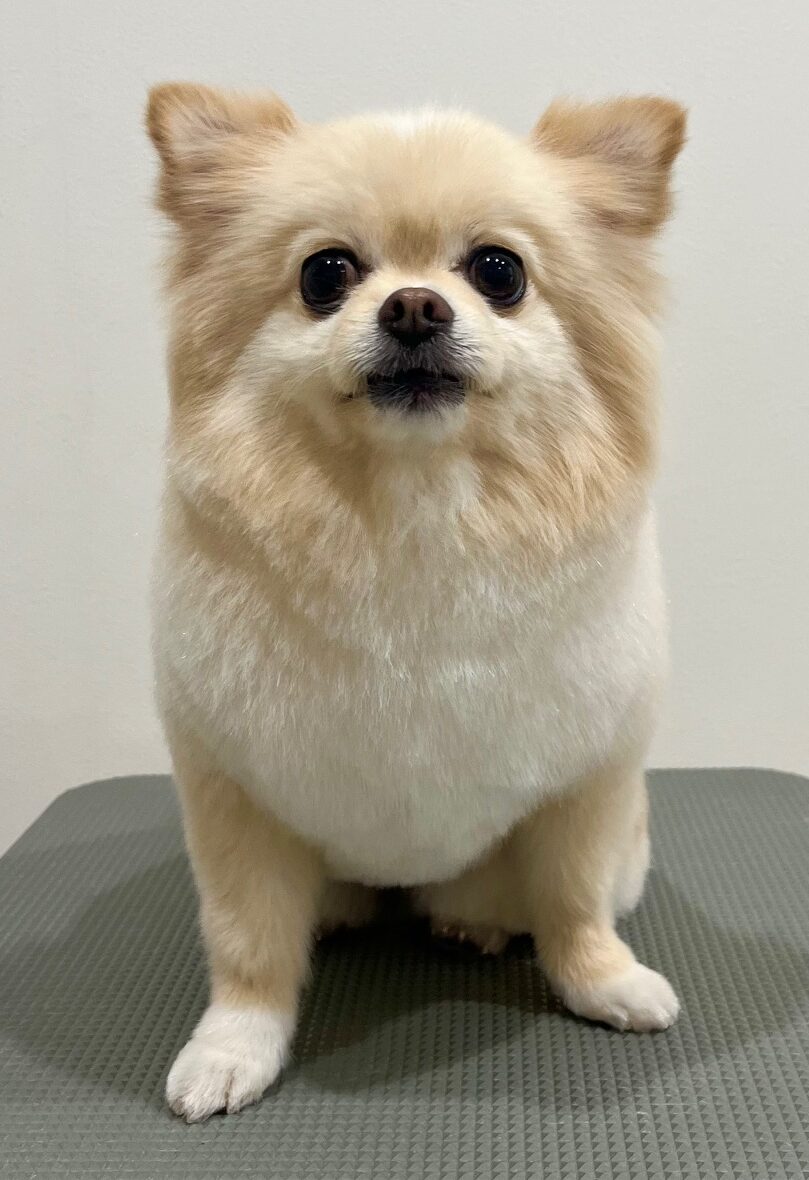 2026-1-21%e9%87%8e%e6%be%a4%e3%81%8f%e3%81%8f