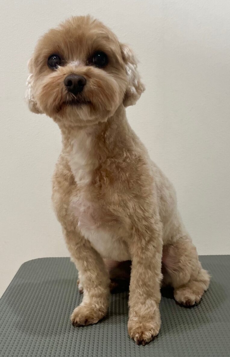 2026-1-23%e5%b9%b8%e7%9c%9f%e3%81%b7%e3%81%b7