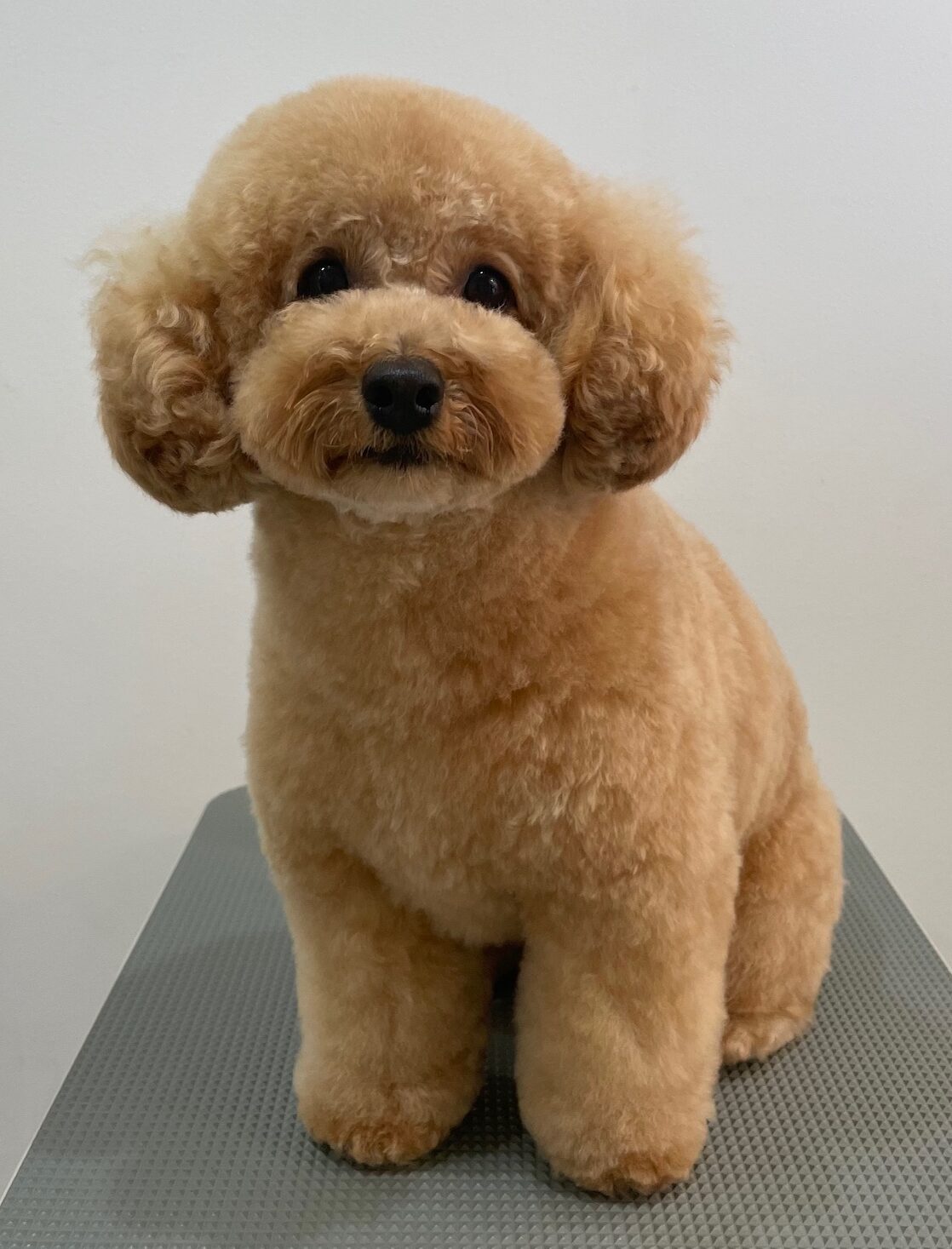 2026-1-23%e6%b0%b8%e7%94%b0%e3%81%86%e3%82%86