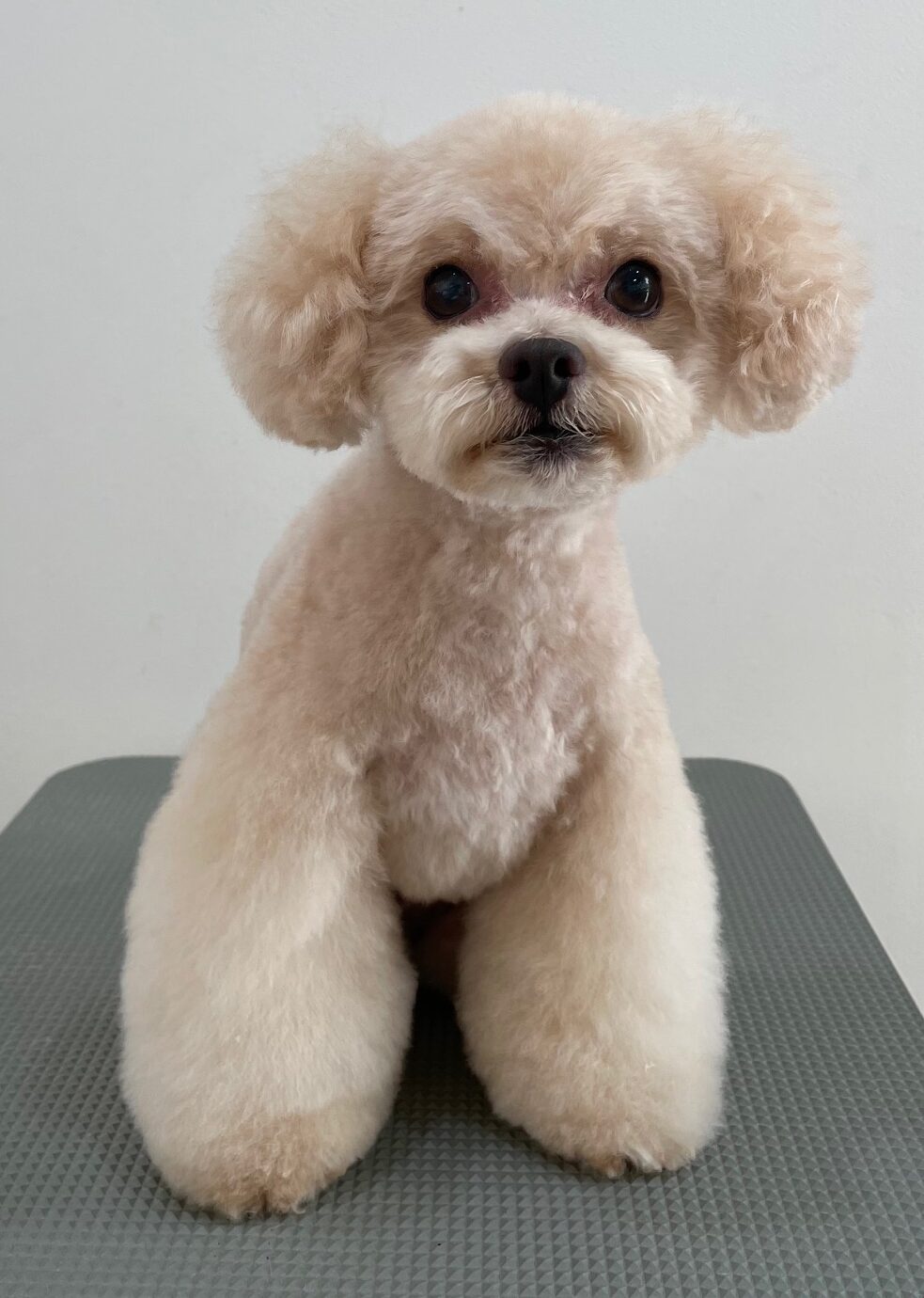 2026-1-25%e6%a9%8b%e5%b1%b1%e3%82%b3%e3%83%ad%e3%83%b3