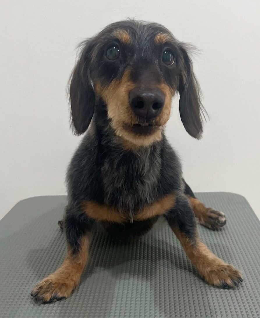 2026-1-26%e8%b2%9d%e6%96%b9%e5%a3%ab%e3%83%ac%e3%83%b3