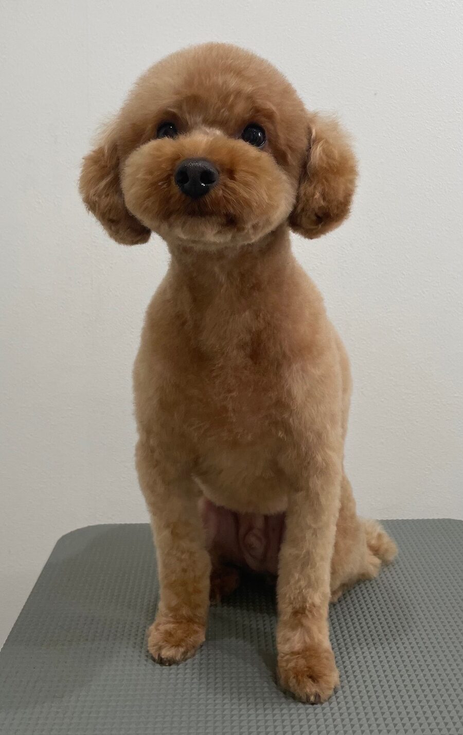 2026-1-27%e5%9f%8e%e5%b3%b6%e3%83%97%e3%83%97