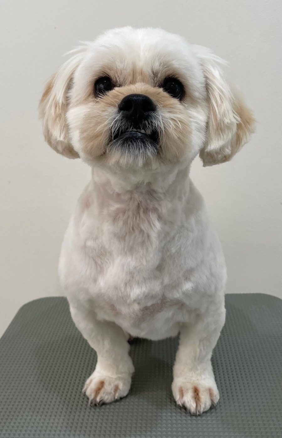 2026-1-27%e5%b0%8f%e9%96%a2%e6%9d%be%e7%ab%b9