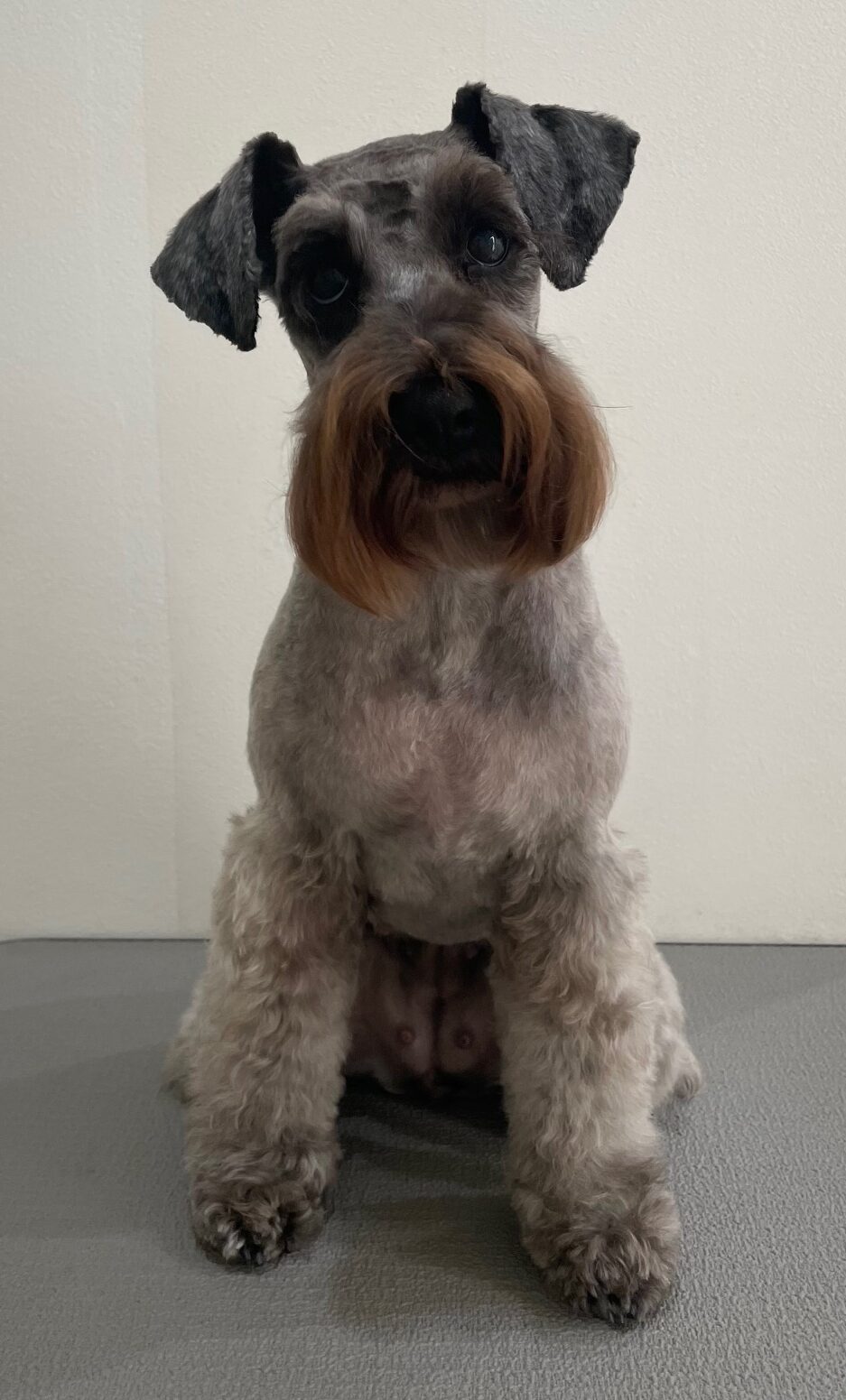 2026-1-27%e8%97%a4%e7%94%b0%e3%82%af%e3%83%ad%e3%82%a8