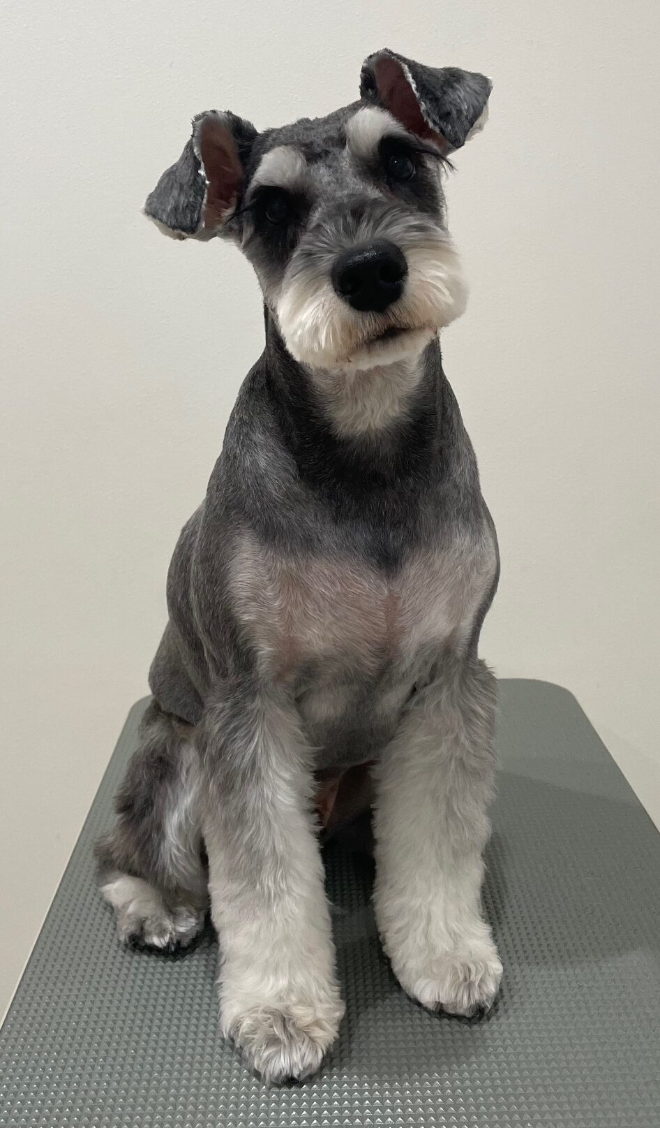 2026-1-27%e8%97%a4%e7%94%b0%e3%83%86%e3%82%a3%e3%83%b3%e3%83%90