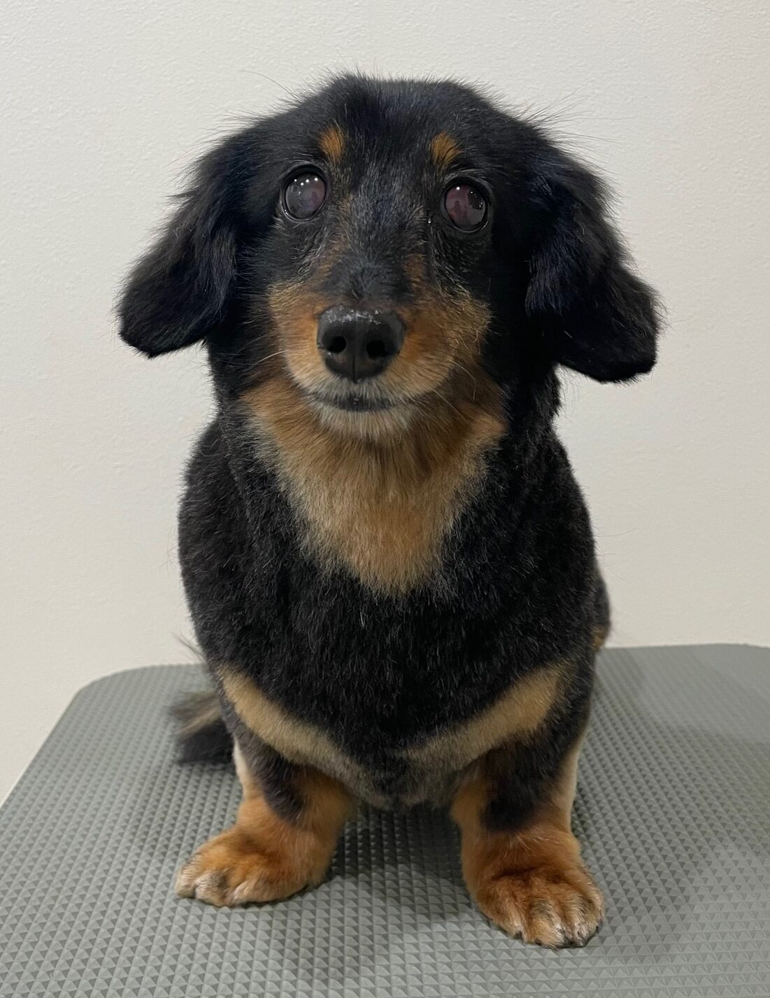 2026-1-28%e5%b4%8e%e7%94%b0%e3%83%86%e3%82%a3%e3%83%8a