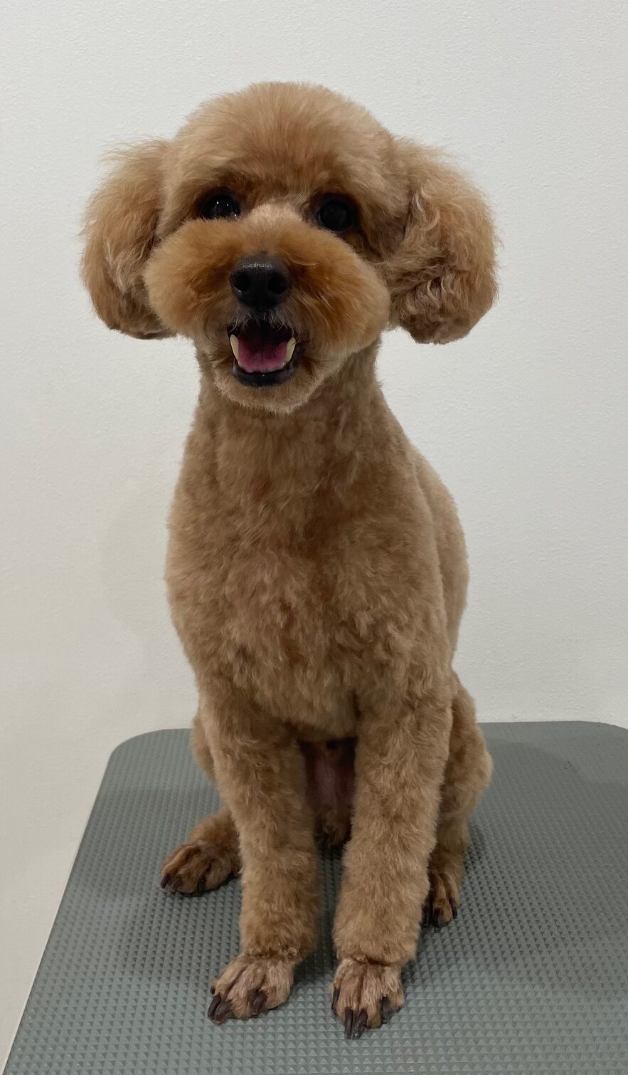 2026-1-28%e6%b8%a1%e9%82%89%e3%81%ad%e3%82%8b