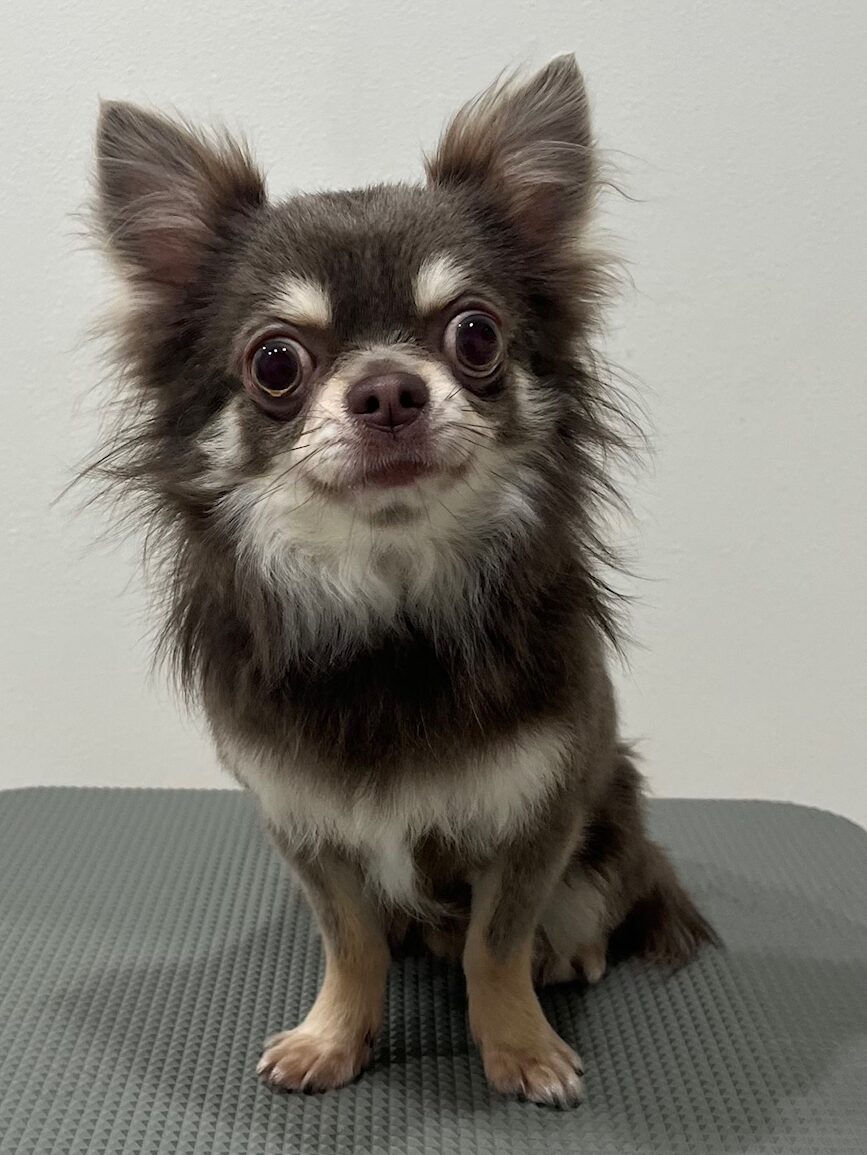 2026-1-28%e7%95%a0%e5%b1%b1%e3%82%ab%e3%83%96