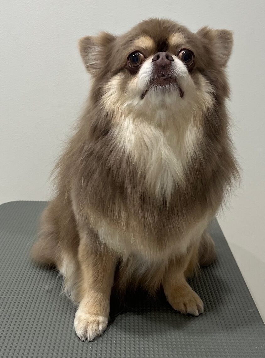 2026-1-28%e7%95%a0%e5%b1%b1%e3%82%b3%e3%83%86%e3%83%84