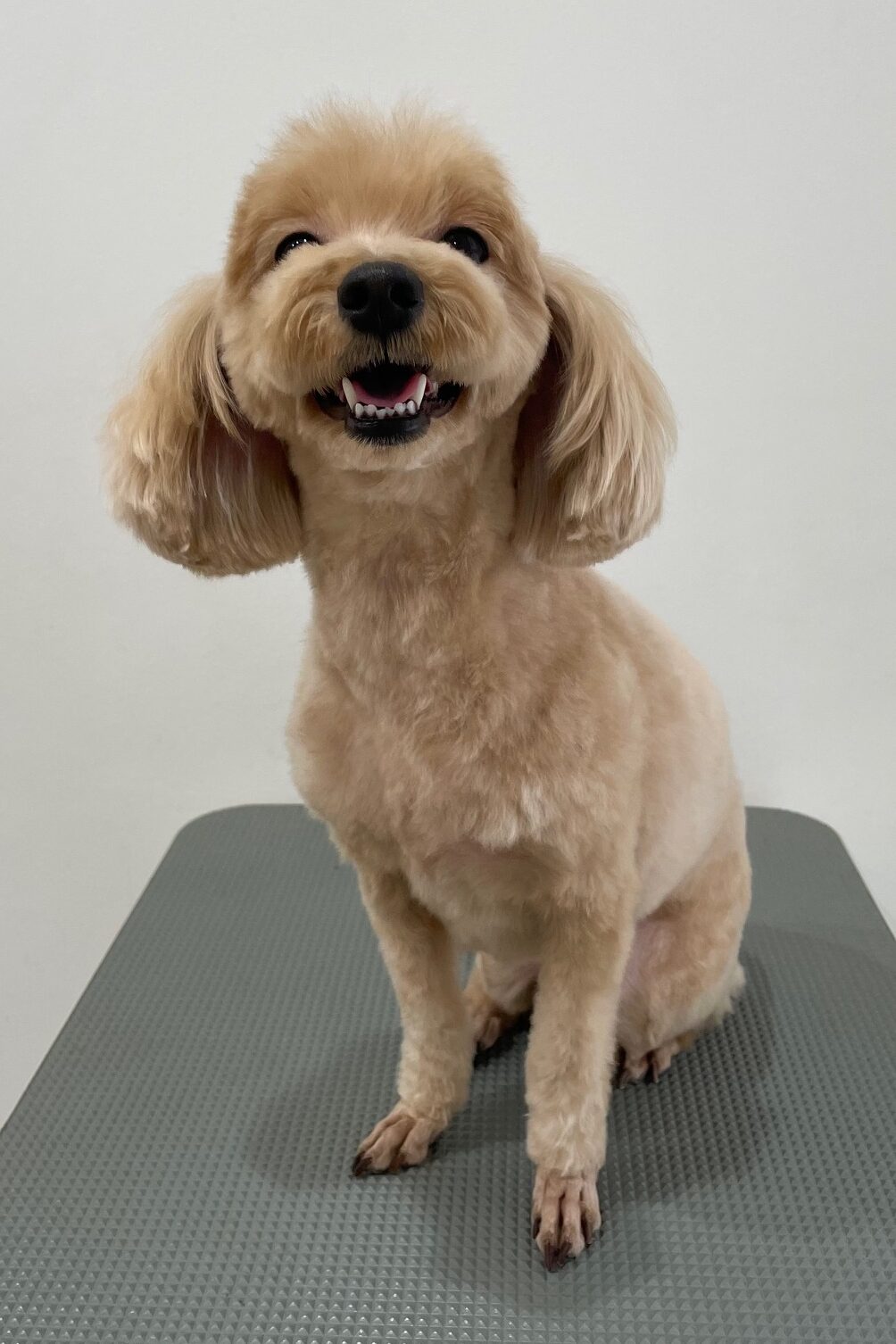 2026-1-30%e5%8f%a4%e5%b7%9dloco