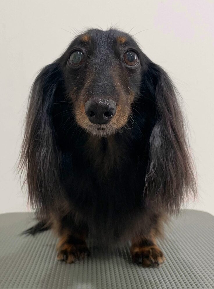 2026-1-30%e5%af%ba%e7%94%b0%e3%81%8a%e3%82%88