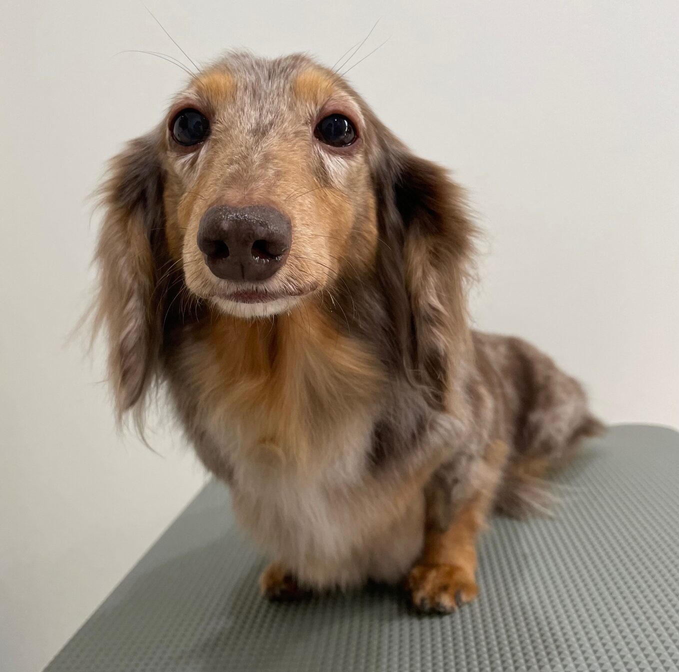 2026-1-30%e5%af%ba%e7%94%b0%e3%81%be%e3%82%8d