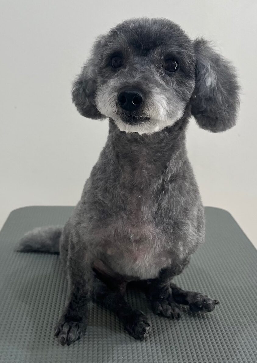 2026-1-4%e6%98%9f%e9%87%8e%e6%9f%9a