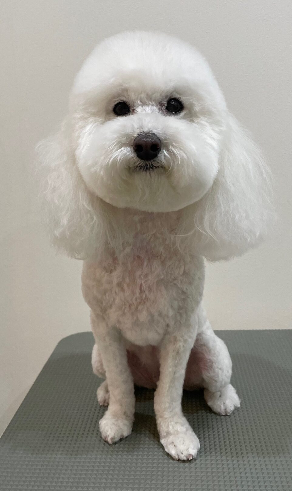 2026-1-5%e6%b0%b8%e4%ba%95%e3%83%ab%e3%83%ab