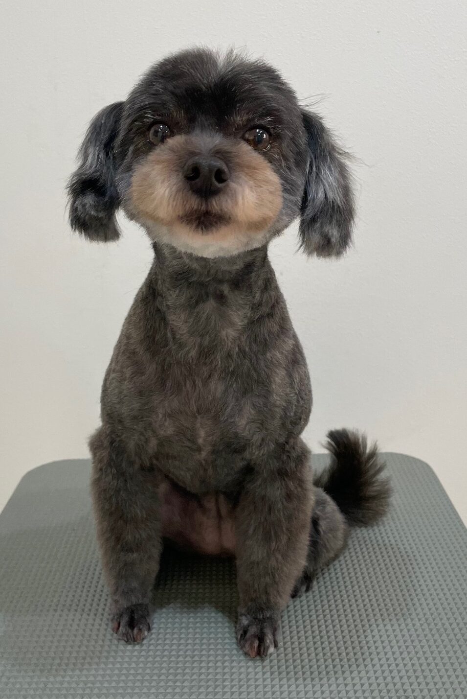 2026-1-5%e9%9d%92%e6%9c%a8cara