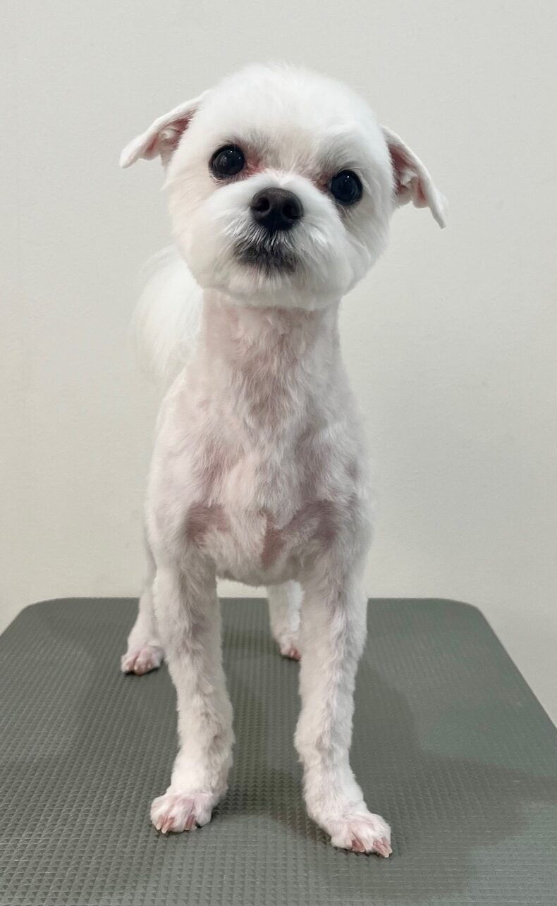 2026-1-6%e5%88%9d%e5%8f%88%e3%83%8f%e3%83%ab