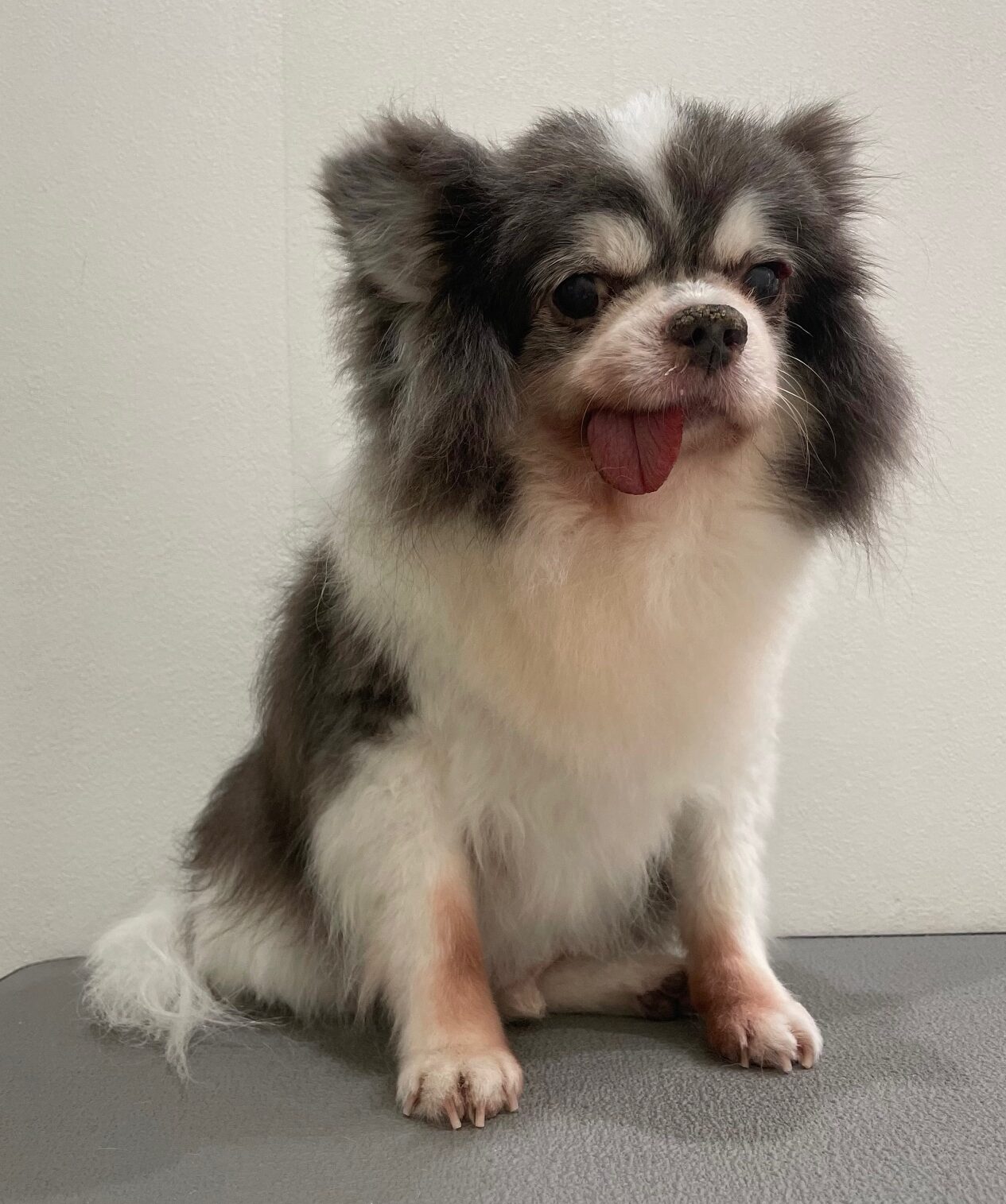 2026-1-6%e5%9f%8e%e7%94%b0%e3%83%9e%e3%82%a4%e3%83%ad