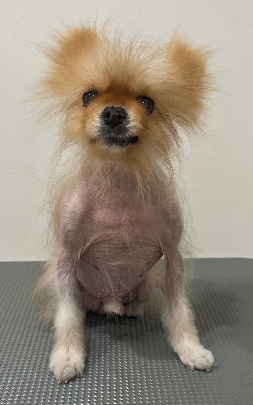 2026-1-6%e8%97%a4%e7%94%b0%e3%82%a4%e3%83%96