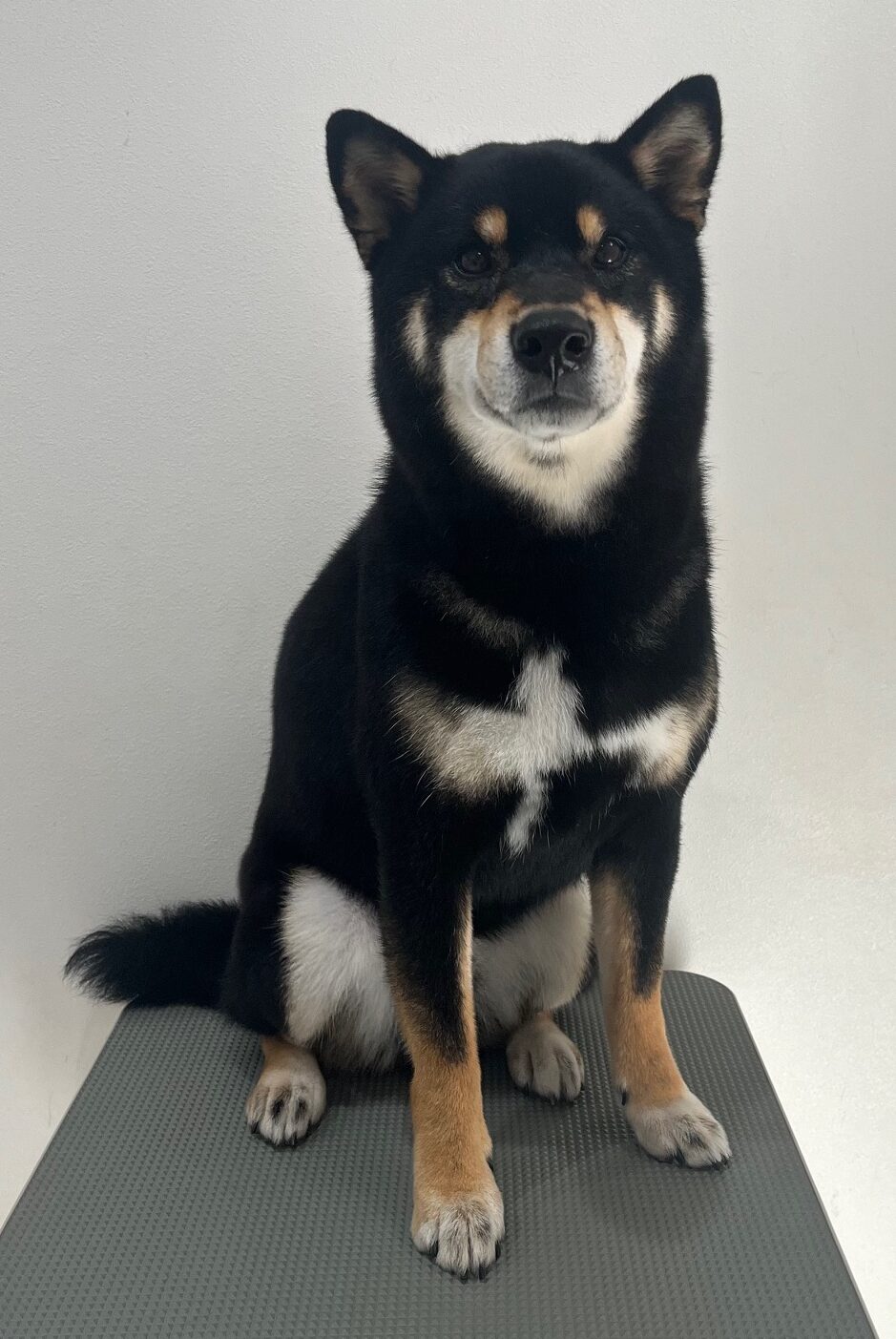 2026-1-6%e9%bb%92%e6%be%a4%e3%81%b2%e3%81%be%e3%82%8f%e3%82%8a