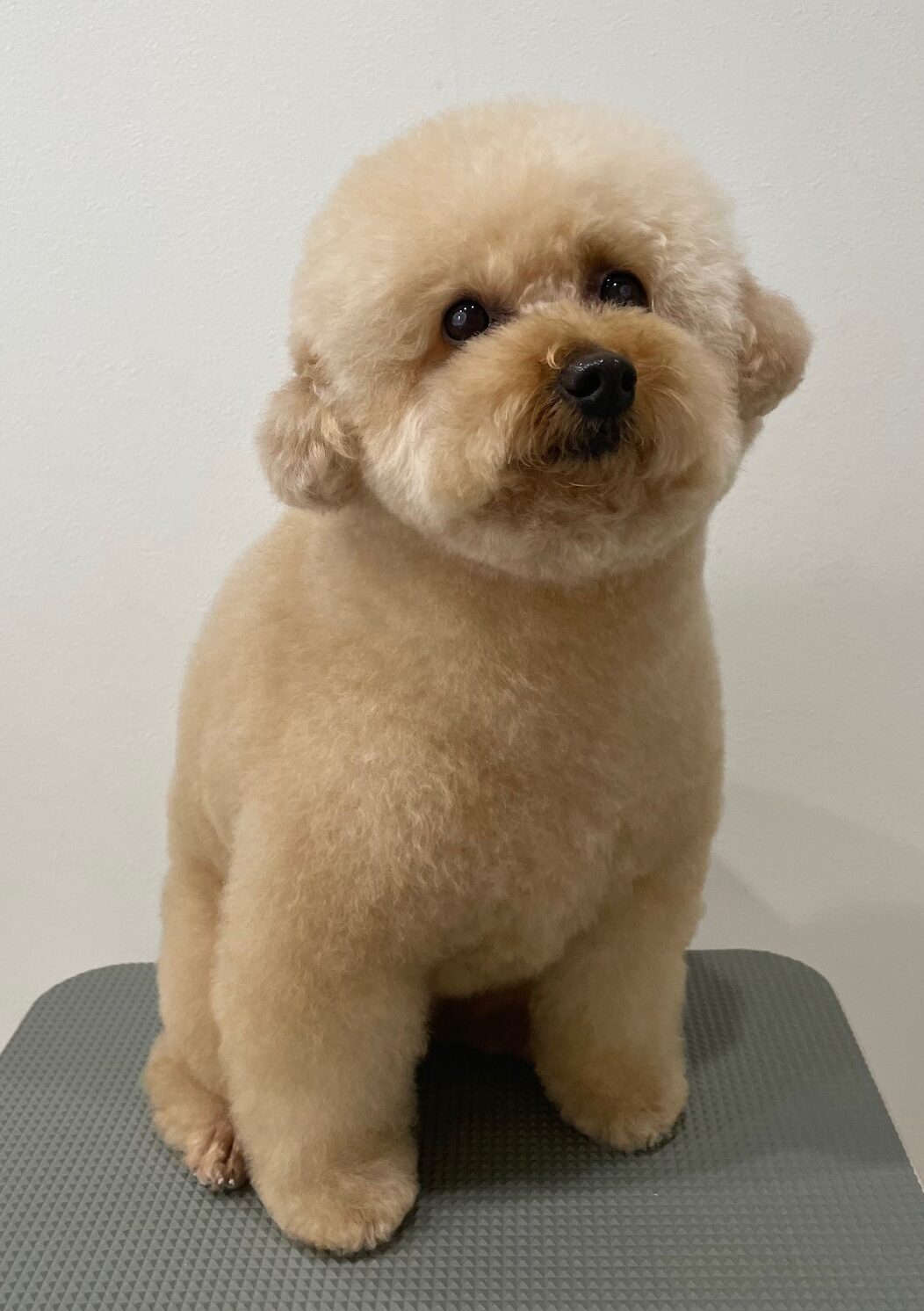 2026-1-7%e5%b0%8f%e6%9e%97%e3%81%b7%e3%81%86