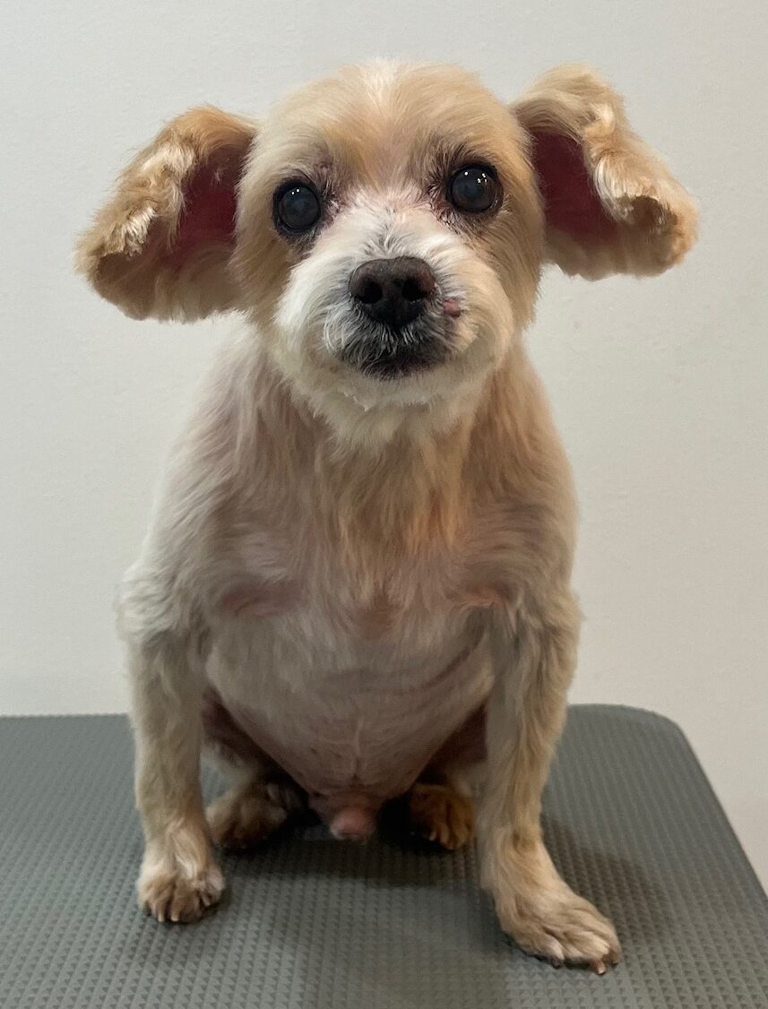 2026-1-7%e5%b1%b1%e5%8f%a3%e3%83%9f%e3%83%83%e3%82%ad%e3%83%bc