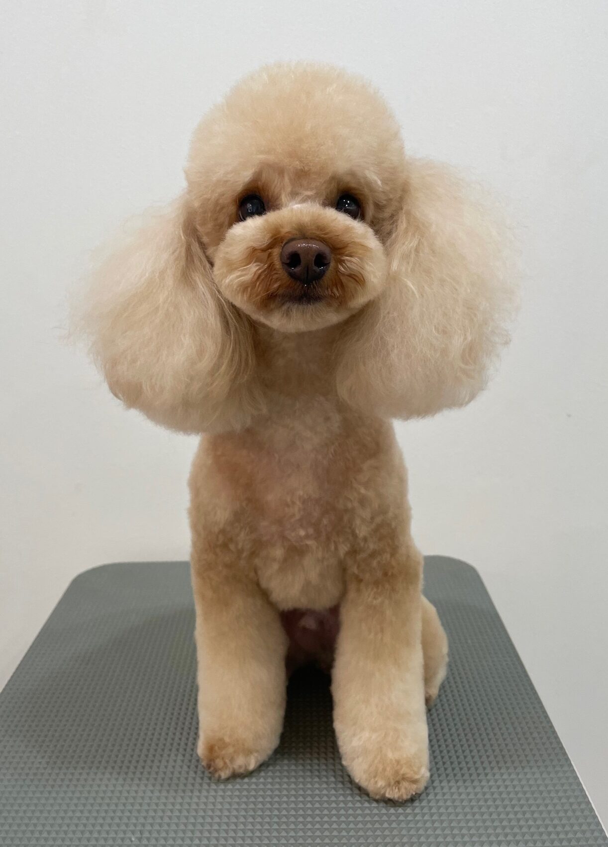 2026-1-7%e5%b8%82%e5%b7%9d%e3%82%80%e3%81%8e