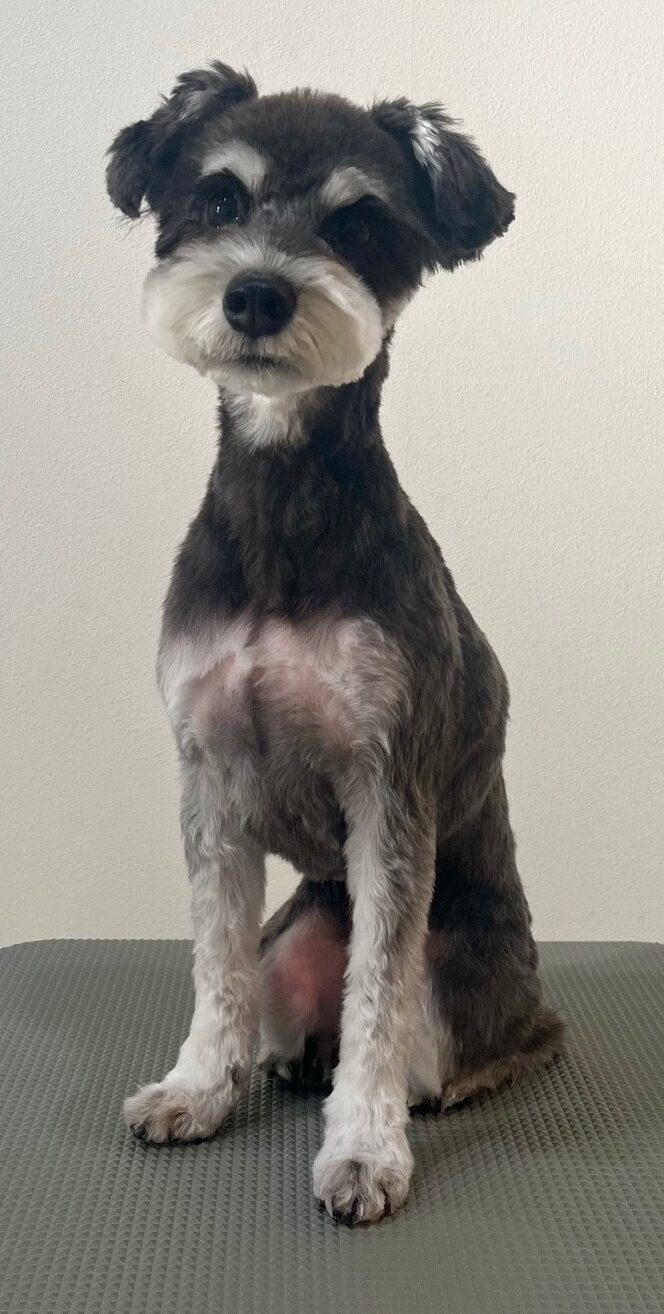 2026-1-7%e6%9d%89%ef%a8%91%e3%82%a6%e3%82%bf