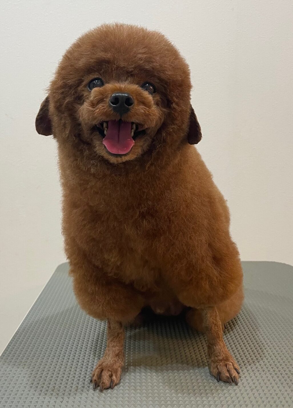 2026-1-9%e5%b0%8f%e6%9e%97%e3%83%97%e3%83%81