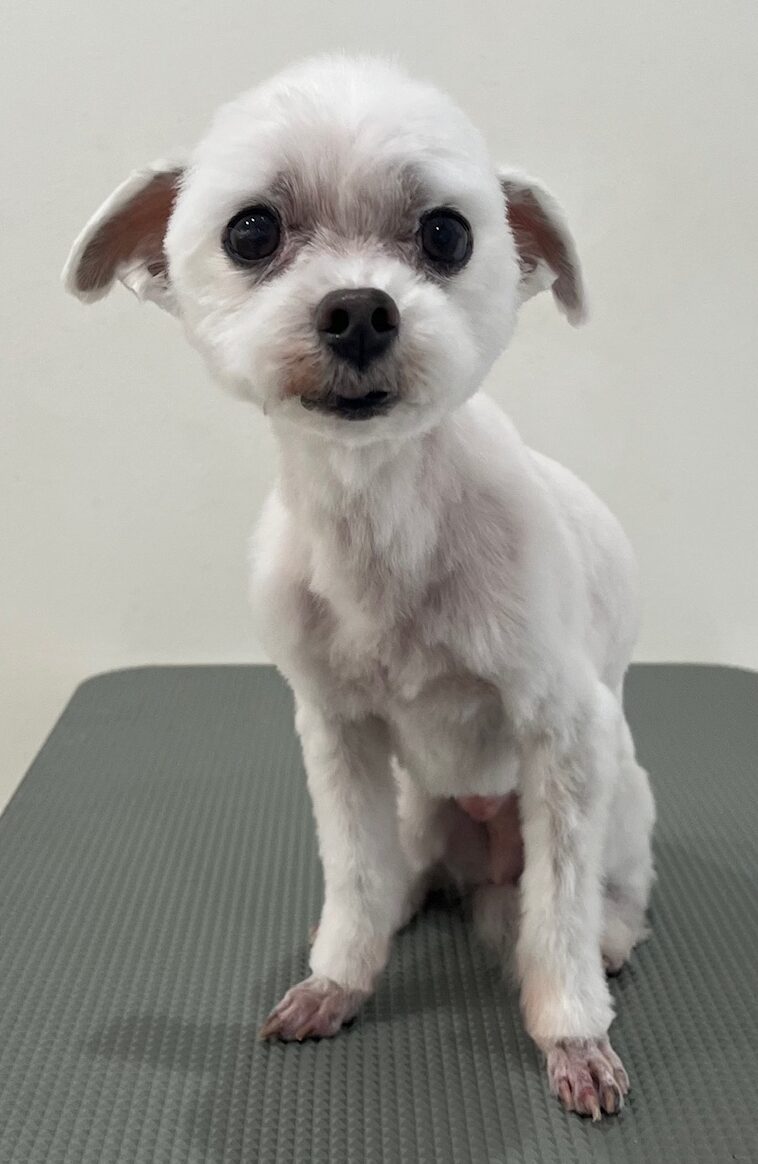 2026-1-9%e9%ab%98%e6%a9%8b%e3%82%b3%e3%82%b3