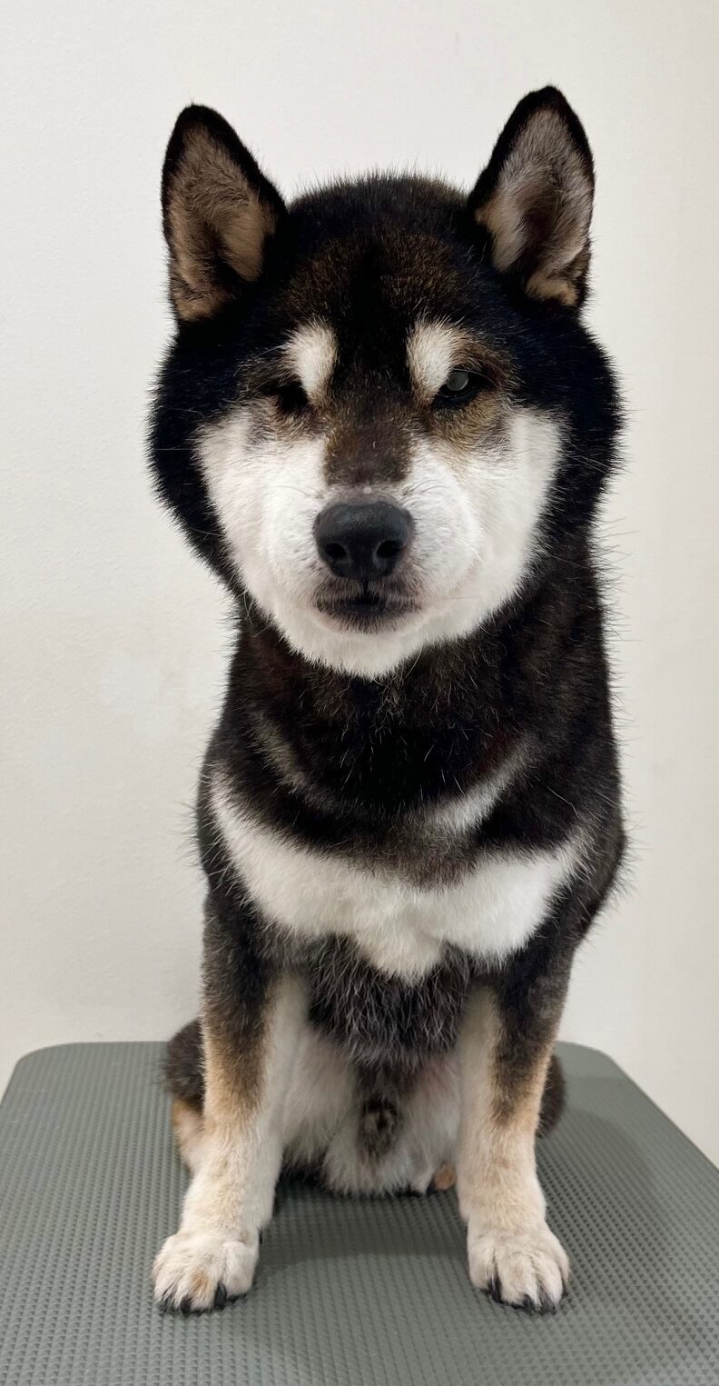 2026-1-9%e9%ab%99%e6%a9%8b%e3%82%b3%e3%82%bf%e3%83%ad%e3%82%a6