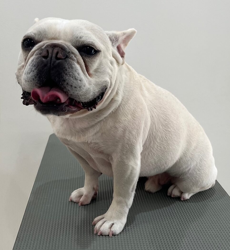 2026-3-10%e5%a4%a9%e9%87%8e%e3%83%9e%e3%83%ad