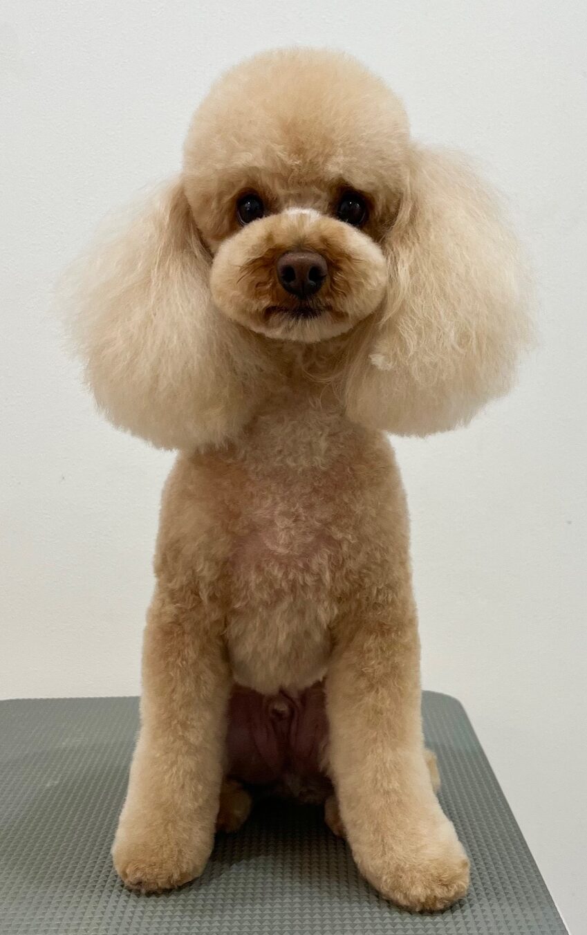 2026-3-10%e5%b8%82%e5%b7%9d%e3%82%80%e3%81%8e