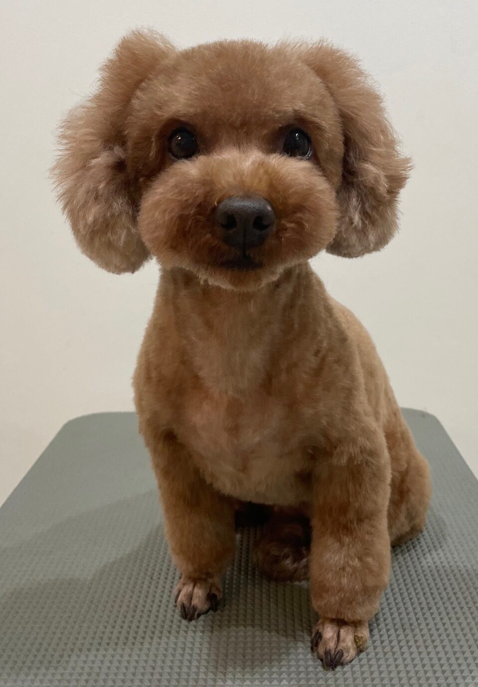 2026-3-10%e8%97%a4%e7%94%b0%e3%82%af%e3%83%ac%e3%82%a2